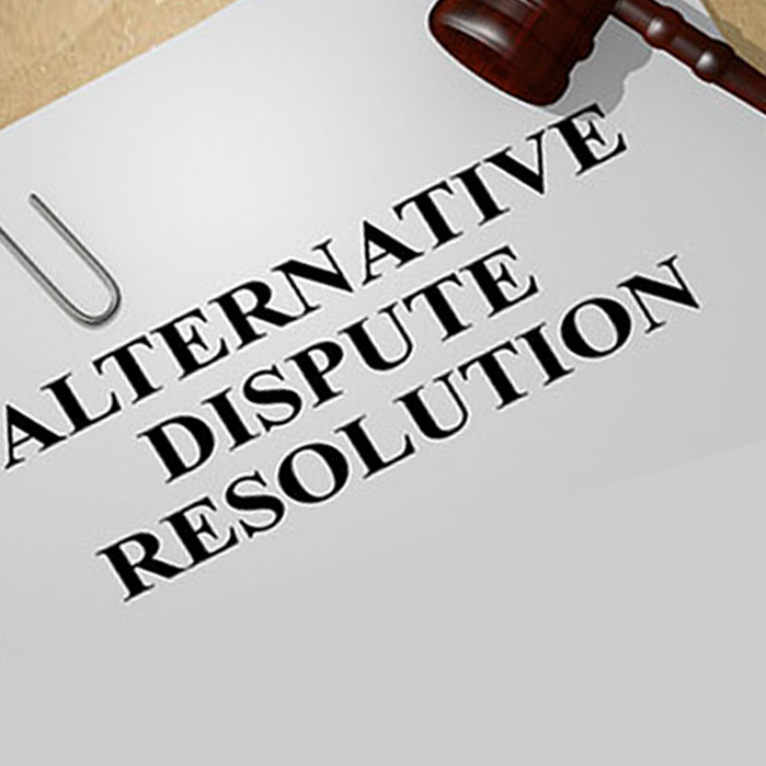 Alternative Dispute Resolution/Litigation Support